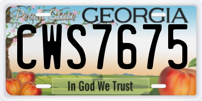 GA license plate CWS7675