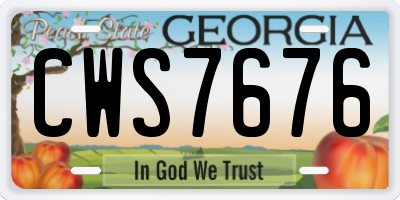 GA license plate CWS7676
