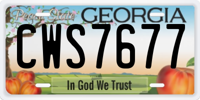 GA license plate CWS7677