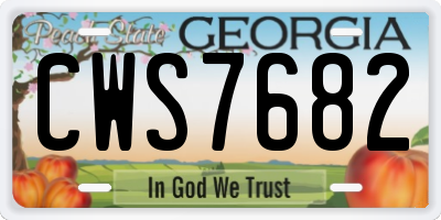 GA license plate CWS7682