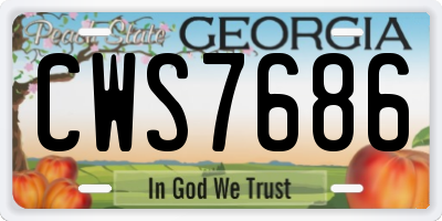 GA license plate CWS7686