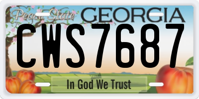 GA license plate CWS7687