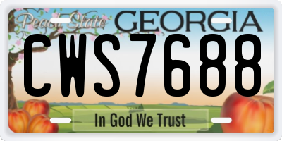 GA license plate CWS7688