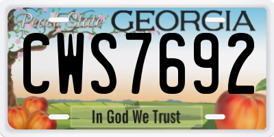 GA license plate CWS7692