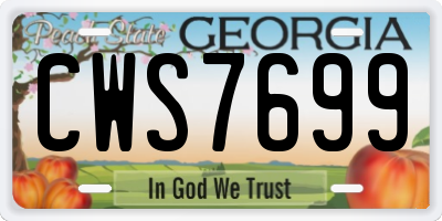 GA license plate CWS7699