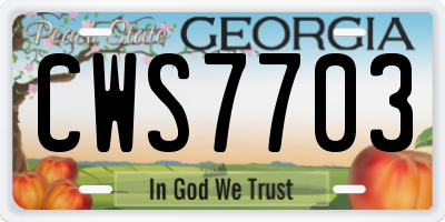 GA license plate CWS7703