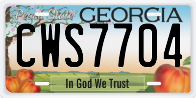 GA license plate CWS7704
