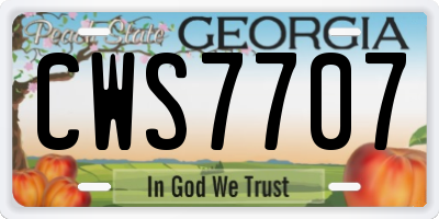 GA license plate CWS7707