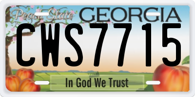 GA license plate CWS7715