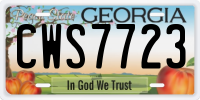 GA license plate CWS7723