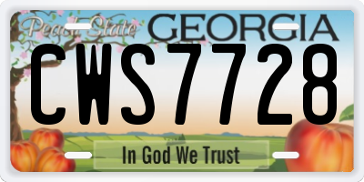 GA license plate CWS7728