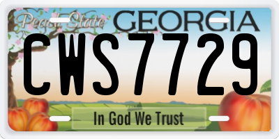 GA license plate CWS7729