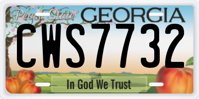 GA license plate CWS7732