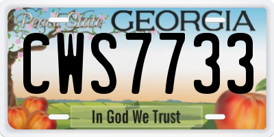 GA license plate CWS7733