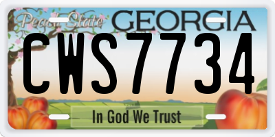 GA license plate CWS7734