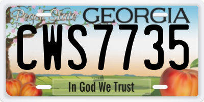 GA license plate CWS7735