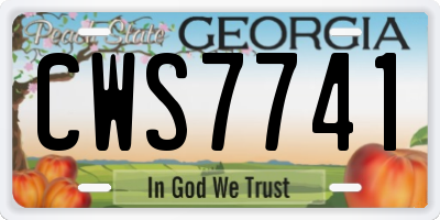 GA license plate CWS7741