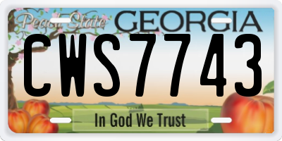 GA license plate CWS7743