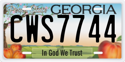 GA license plate CWS7744