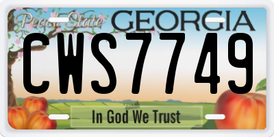 GA license plate CWS7749