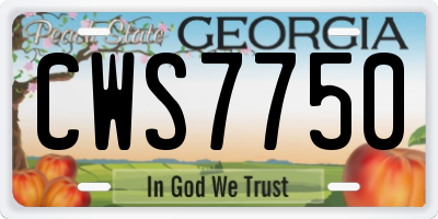 GA license plate CWS7750