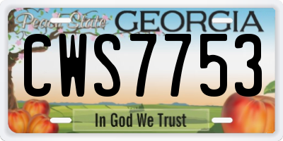 GA license plate CWS7753