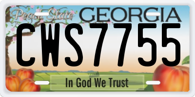 GA license plate CWS7755