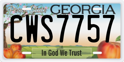 GA license plate CWS7757