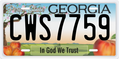 GA license plate CWS7759