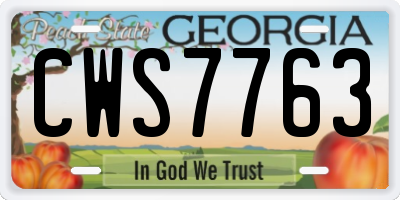 GA license plate CWS7763
