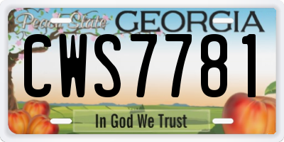 GA license plate CWS7781