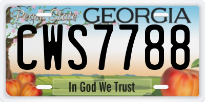 GA license plate CWS7788
