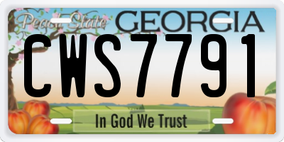 GA license plate CWS7791