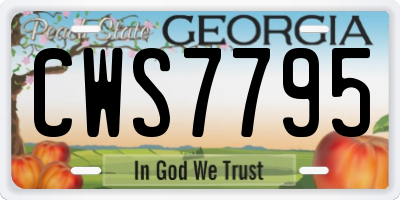 GA license plate CWS7795