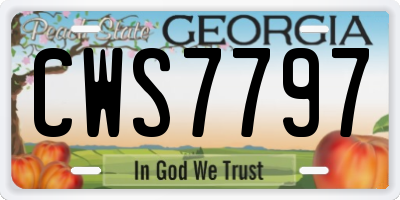 GA license plate CWS7797