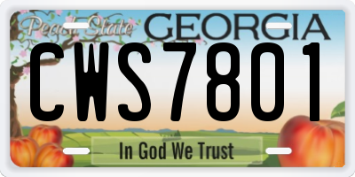 GA license plate CWS7801