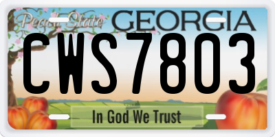 GA license plate CWS7803
