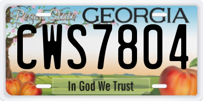 GA license plate CWS7804