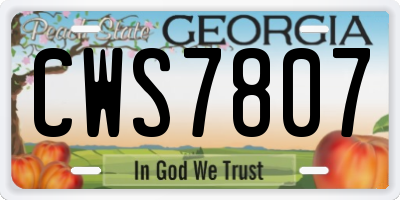 GA license plate CWS7807