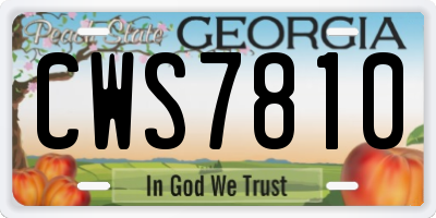 GA license plate CWS7810