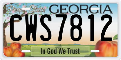 GA license plate CWS7812