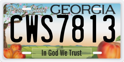 GA license plate CWS7813