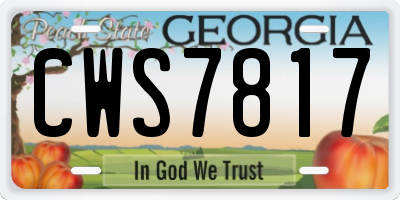 GA license plate CWS7817