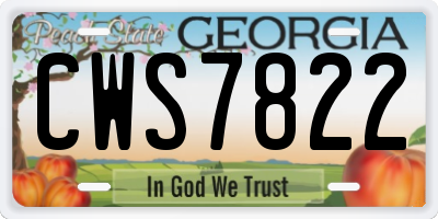 GA license plate CWS7822