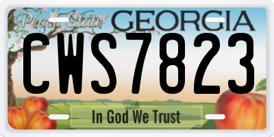 GA license plate CWS7823
