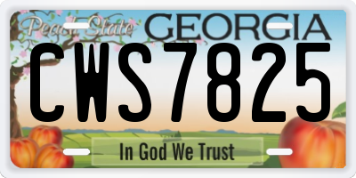GA license plate CWS7825