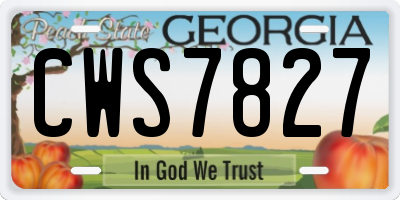GA license plate CWS7827