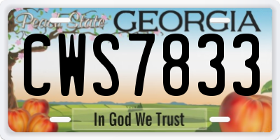 GA license plate CWS7833