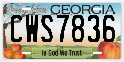 GA license plate CWS7836