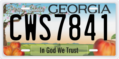 GA license plate CWS7841